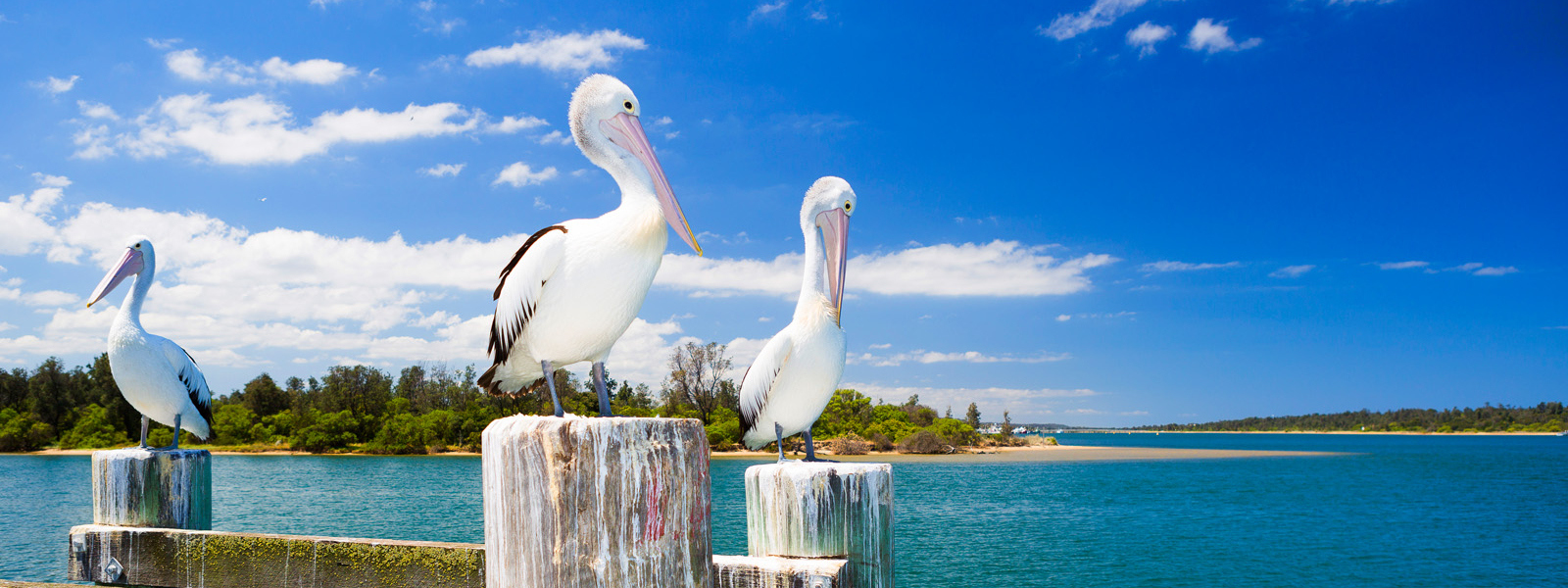 Lakes Entrance Holiday Rentals